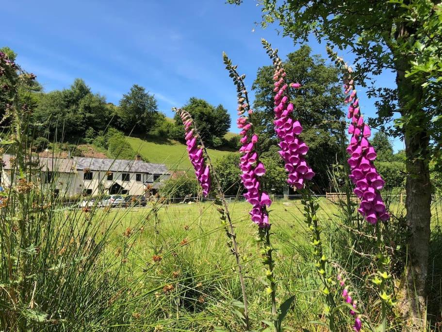 Luxury Exmoor Barn Conversion With Sauna Exford Εξωτερικό φωτογραφία