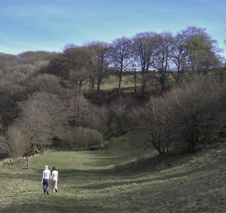 Luxury Exmoor Barn Conversion With Sauna Exford Εξωτερικό φωτογραφία