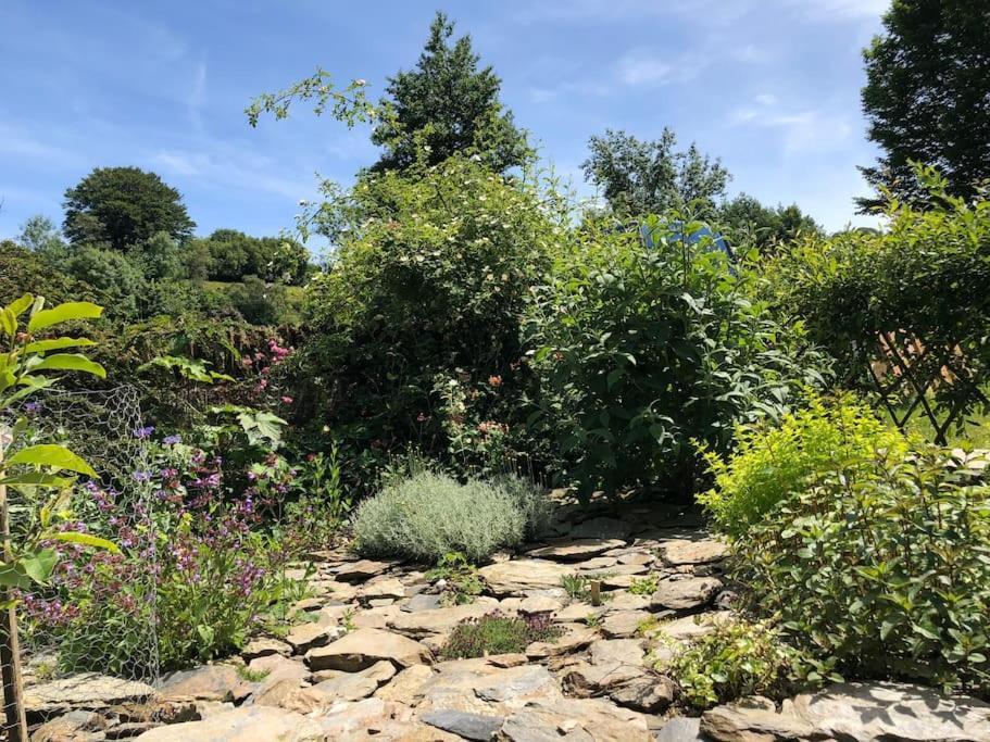 Luxury Exmoor Barn Conversion With Sauna Exford Εξωτερικό φωτογραφία